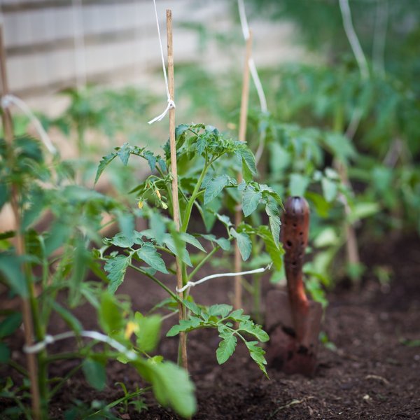 Quels sont les avantages de l'utilisation de la permaculture dans votre jardin ?