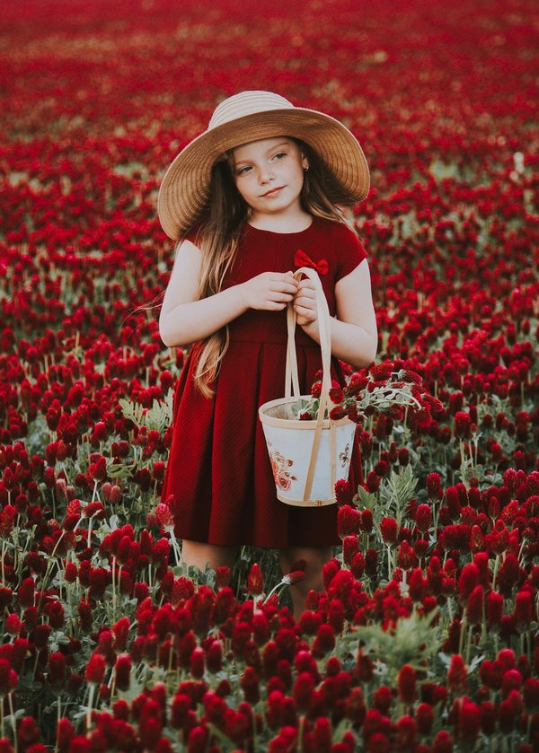 Inspirez votre maison : astuces déco, jardin et cuisine